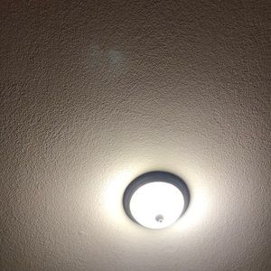 Meet your Posher, Brayden